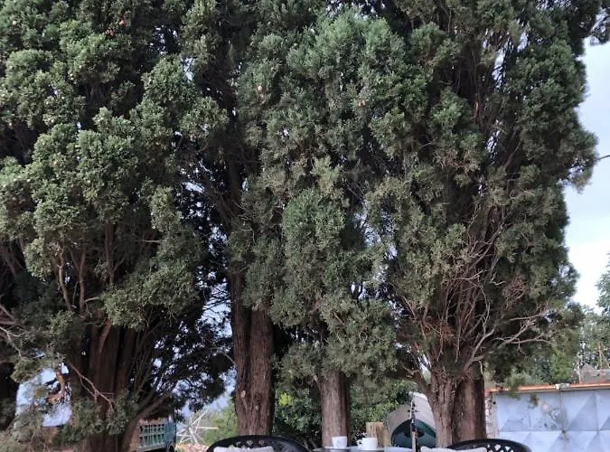 Kamares Stone House 1 *